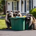 How to Safely and Humanely Remove Wild Animals and Pests from Your Property