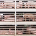 Transporting and Releasing Animals: A Guide to Humane Wildlife Removal