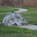A Comprehensive Guide to Frightening Devices for Wildlife Damage Control