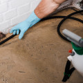 Are exterminators worth it for rats?