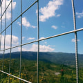 Fencing and Barriers for Protection: Keeping Wildlife Out of Your Property