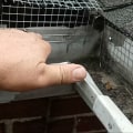 How to Effectively Install One-Way Doors for Wildlife Removal
