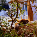 Trimming Trees and Shrubs: A Guide to Safely and Humanely Preventing Wildlife Damage