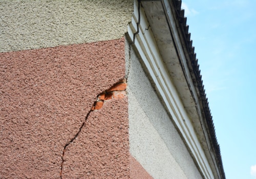 A Guide to Identifying Problem Areas for Wildlife Removal