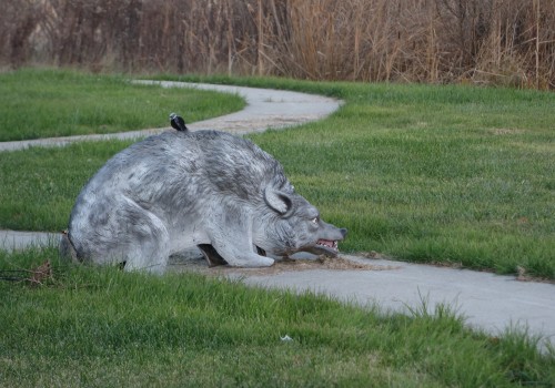 A Comprehensive Guide to Frightening Devices for Wildlife Damage Control