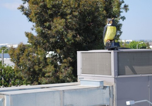 Maximizing Wildlife Removal with Visual Deterrents
