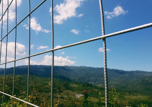 Fencing and Barriers for Protection: Keeping Wildlife Out of Your Property