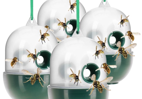 Chemical Repellents: Safely and Humanely Remove Wildlife and Pests