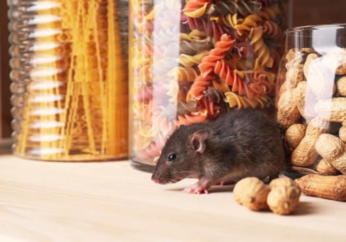 Is it expensive to get rid of rats?